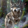 Фото профиля Lone Wolf