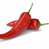 CHILICHARTS🌶️ 的头像