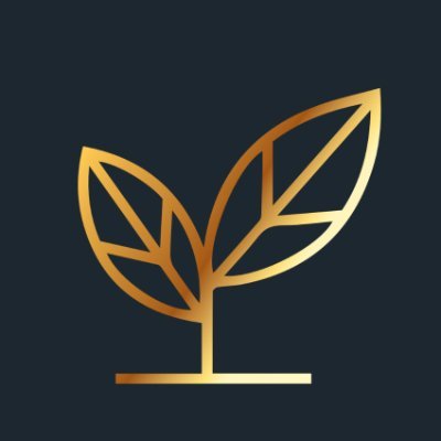 FundacionLuzon's profile picture
