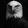 Maraan profil fotoğrafı