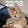 Profilbild von Eddy