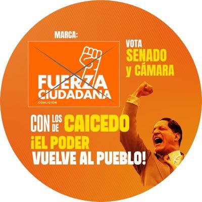FUERZA CIUDADANA's profile picture