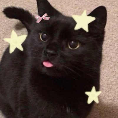 per 🐈⬛ྀིྀི's profile picture