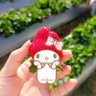 いちご 的头像