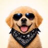 Profilbild von Nuggles