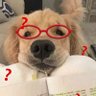 Profilbild von 杰么吃馒头⦁֊⦁꧞
