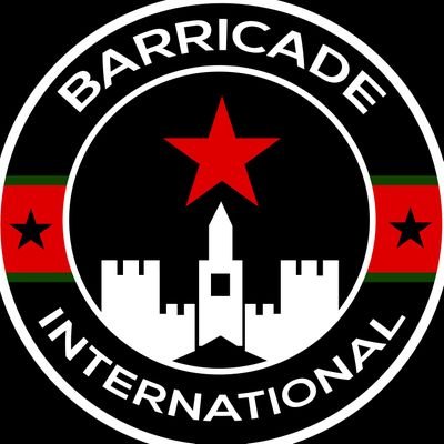 Amedspor Barricade International's profile picture