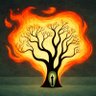 Atefeh's profile picture