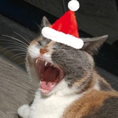 qqqqqf_'s profile picture