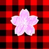 Profilbild von はるきち CHAPTERⅡ🌸📛