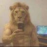 Psy's profile picture