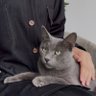 Dildora 的头像