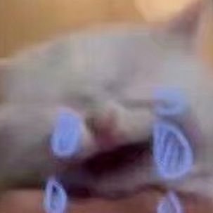 BMSalways's profile picture