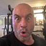 Profilbild von Zero Dark Rogan