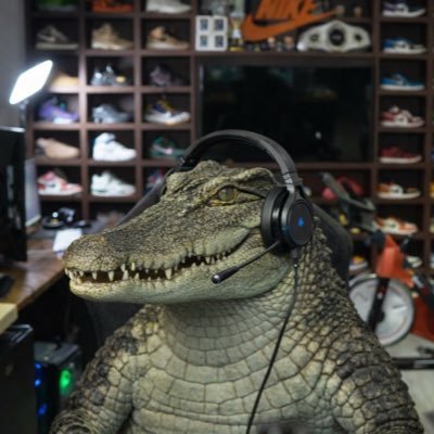 Coscu's profile picture