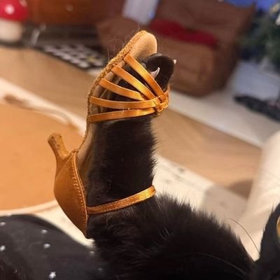 SeNitsam_net's profile picture