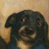 Profilbild von Cuevas