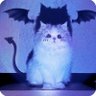 Profilbild von shavy
