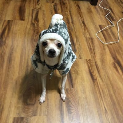 c50g's profile picture