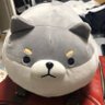 白りんご 的头像