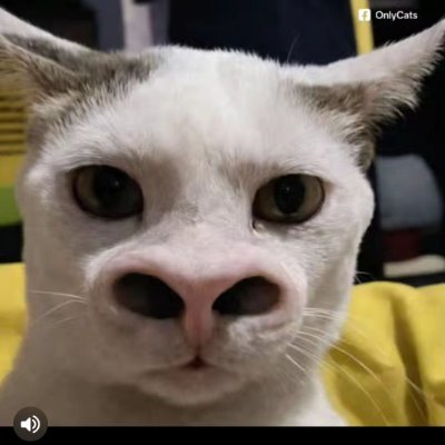 Pejuang pejuh's profile picture