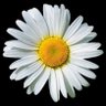 ⇢꯭᳑🇳꯭𝗰֟𝗲꯭⟶꯭⃡〬 profil fotoğrafı