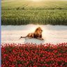Barbara profil fotoğrafı