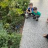 Фото профиля Orhan Okur