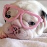 puku.puku profil fotoğrafı