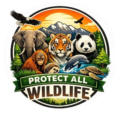 PROTECT ALL WILDLIFE's profile picture