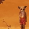 Profilbild von Kosher Fox