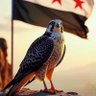 عبد المحسن 的头像