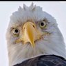 baba yorgun #hissechat's profile picture