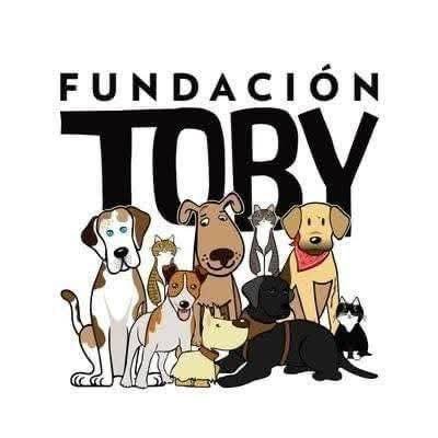 Fundación Toby's profile picture