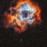 Tamcc's profile picture