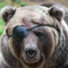 Profilbild von SugzDaEath
