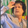 Profilbild von Muammar Gaddafi42🥀