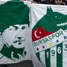 Profilbild von Green holigans🐊🇹🇷