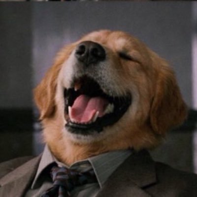 vikmny's profile picture