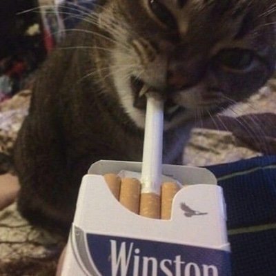 poupouna_s's profile picture