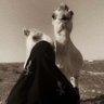 Profilbild von عـبـيه