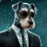 iWicho profil fotoğrafı