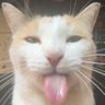 Profilbild von NahNotReally