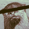 Keef's profile picture