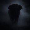 Akkarach158's profile picture