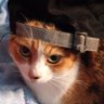 ana profil fotoğrafı