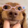 Profilbild von harvi