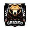 Фото профиля GriZiko