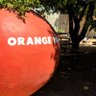 Orange_Man profil fotoğrafı