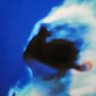 Profilbild von Archetype